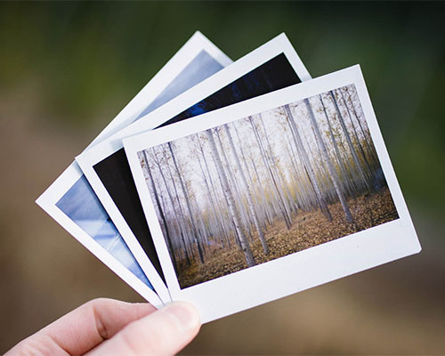 Photo Editing & Building a Portfolio